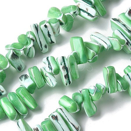 Dyed Natural Trochus Shell Beads Strands SSHEL-C013-09H-1