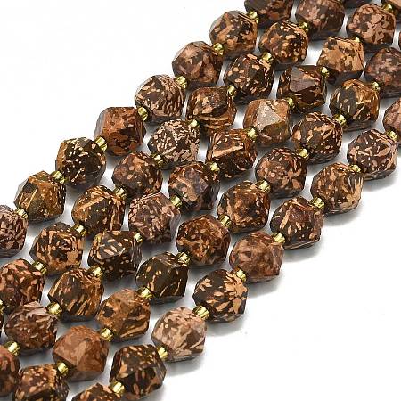 Natural Starburst Jasper Beads Strands G-I376-A60-01-1