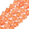 Transparent Glass Beads Strand GLAA-F112-04F-1