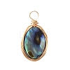 Natural Abalone Shell/Paua Shell Pendants X-PALLOY-JF00457-02-1