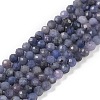 Natural Tanzanite Beads Strands G-F717-17B-01-1
