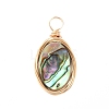 Natural Abalone Shell/Paua Shell Pendants X-PALLOY-JF00457-02-2