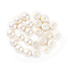Shell Pearl Half Drilled Beads BSHE-G011-01-12mm-2