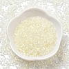Imitation Cat Eyes Glass Seed Beads SEED-H003-03B-2