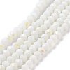 Electroplate Opaque Solid Color Glass Beads Strands EGLA-A034-P1mm-L17-1