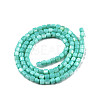 Natural Freshwater Shell Beads Strands SHEL-N003-33-A04-2