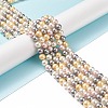Shell Pearl Bead Strands BSHE-L017-17-2