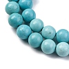 Dyed Natural Magnesite Beads Strands G-P558-A01-01B-4