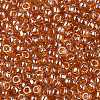 TOHO 8/0 Round Beads X-SEED-TR08-0103C-1