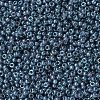 MIYUKI Round Rocailles Beads SEED-X0054-RR0314-3