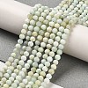 Natural Green Opal Beads Strands G-Z035-A02-02A-2