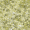 Glass Seed Beads SEED-S042-04A-02-3