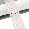 Natural Rose Quartz Beads Strands G-H087-D02-01-2