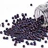 TOHO 11/0 Round Beads SEED-JPTR11-0704-1