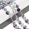 Natural Fluorite Beads Strands G-G116-A01-01-2