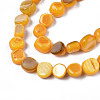 Natural Trochid Shell/Trochus Shell Beads Strands SHEL-S258-083-B10-3