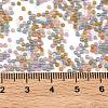 Glass Seed Beads GLAA-G130-02B-4