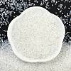 Transparent Colours Luster Glass Seed Beads SEED-H003-12J-3