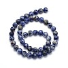 Natural Blue Spot Jasper Round Beads Strands G-O047-01-10mm-3