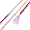 10 Skeins 6-Ply Polyester Embroidery Floss OCOR-K006-A76-3
