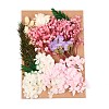 Dried Flower DIY-B018-10-1