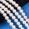 Natural Cultured Freshwater Pearl Beads Strands PEAR-N016-09C-2