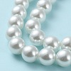 Baking Painted Pearlized Glass Pearl Round Bead Strands HY-Q003-12mm-01-4
