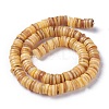 Natural Freshwater Shell Beads Strands BSHE-I016-04B-2