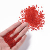 Glass Seed Beads SEED-A004-3mm-5-4