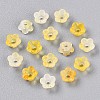 Frosted Transparent Acrylic Beads OACR-N137-72G-2