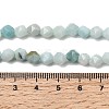 Natural Flower Amazonite Beads Strands G-Z119-A09-01-6