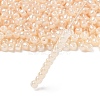 TOHO 6/0 Round Beads SEED-XTR06-0147-2