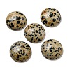 Natural Dalmatian Jasper Cabochons G-C115-02A-21-1