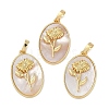 Rack Plating Brass Pave Shell Oval Pendants KK-U032-92G-05-1