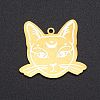 201 Stainless Steel Pendants STAS-S105-LA254-1
