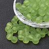 Transparent Acrylic Beads PL704-C46-2