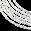 Natural Freshwater Shell Beads Strands SHEL-K006-72C-3