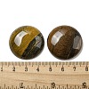 Natural Tiger Iron Cabochons G-C115-02B-34-3