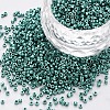 Glass Cylinder Beads SEED-S047-B-006-1