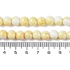 Baking Paint Glass Bead Strands GLAA-H031-01B-03-5