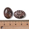 Natural Leopard Skin Jasper Cabochons G-B080-01A-10-3