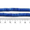 Synthetic Turquoise Beads Strands G-V003-A01-05-5