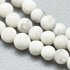 Natural Howlite Beads Strands G-A177-04-24-3