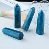 Point Tower Natural Apatite Home Display Decoration PW-WG91959-04-1
