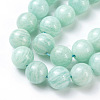 Natural African Amazonite Beads Strands X-G-G840-02B-2