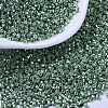 MIYUKI Delica Beads SEED-MY11-DB0414-1