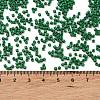 Baking Paint Glass Seed Beads SEED-S042-05B-66-4