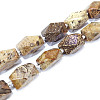 Natural Fossil Coral Beads Strands G-F554-09-1