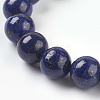 Natural Lapis Lazuli Beads Strands G-G087-10mm-3