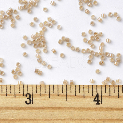 MIYUKI Delica Beads SEED-X0054-DB1731-1